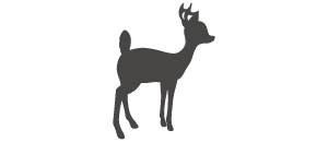 迪士尼公主婚戒系列 Snow White白雪公主ー刻印01