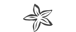 迪士尼公主婚戒系列 Mermaid小美人魚｜愛麗兒ー刻印02